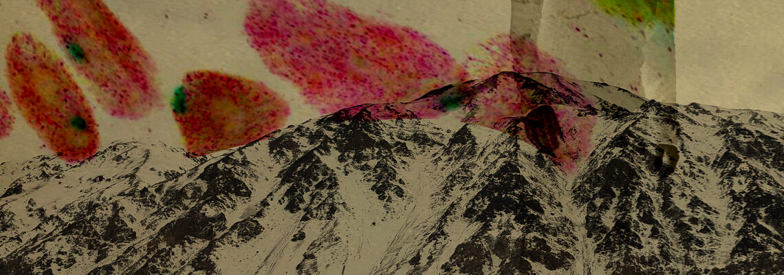 ZutzuiteSurnaturalOrchestra2